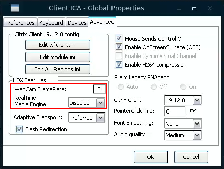 thinox11_howto_configuring_citrix_webcam4.png